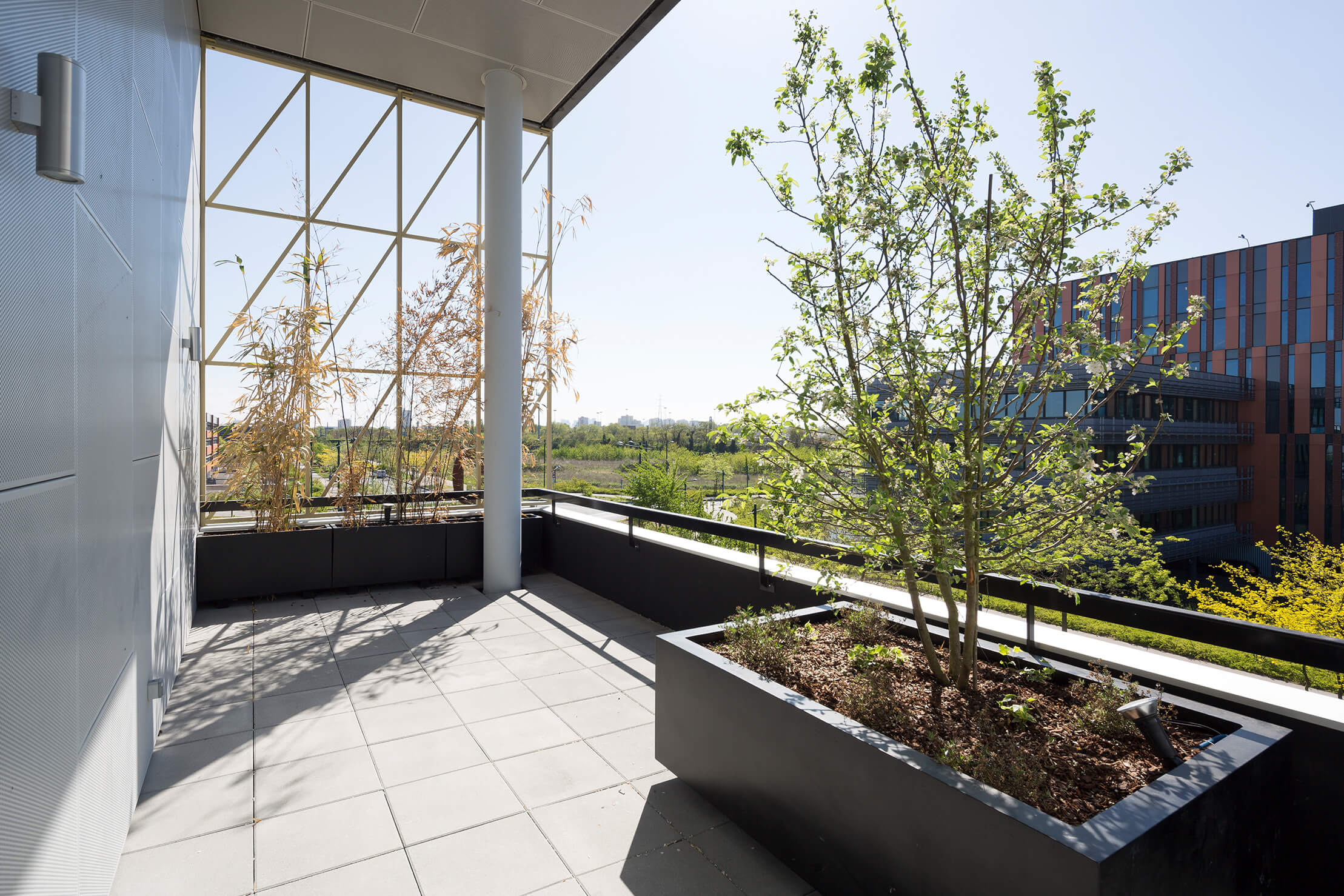 Terrasse du bâtiment Loggias par Magellim Développement